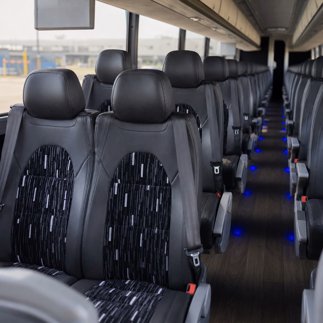 charter buses for maritime aquarium field trips in norwalk